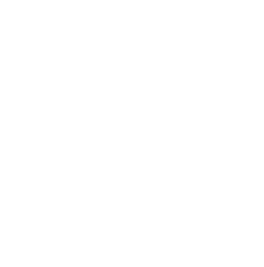 feature-icon