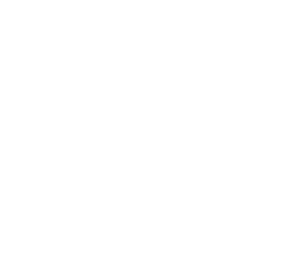 feature-icon