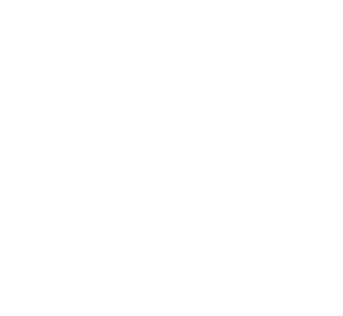 feature-icon