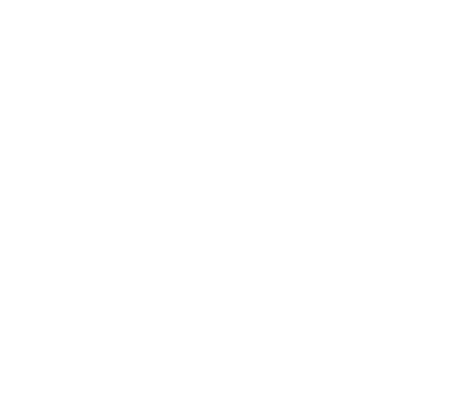 feature-icon