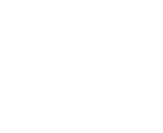 feature-icon