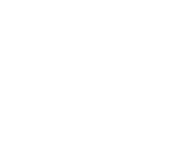 feature-icon